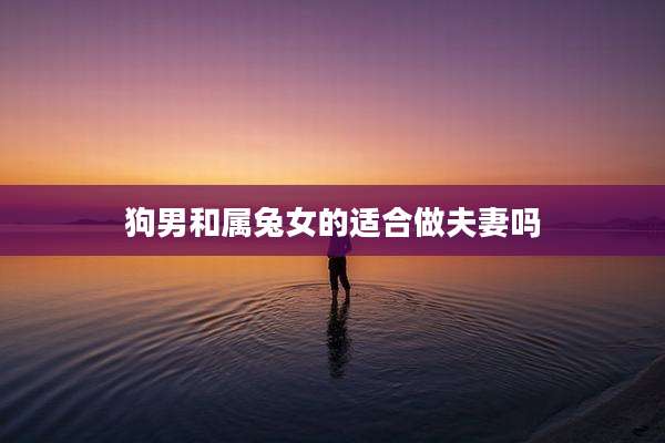 狗男和属兔女的适合做夫妻吗