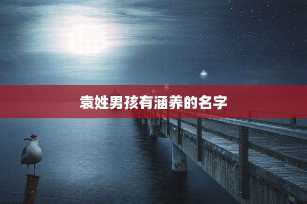 袁姓男孩有涵养的名字