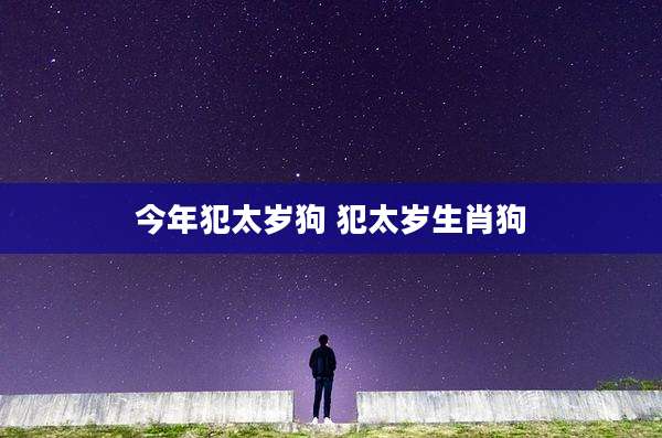 今年犯太岁狗 犯太岁生肖狗