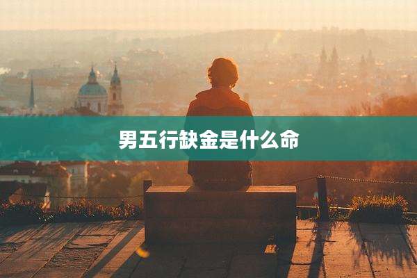 男五行缺金是什么命