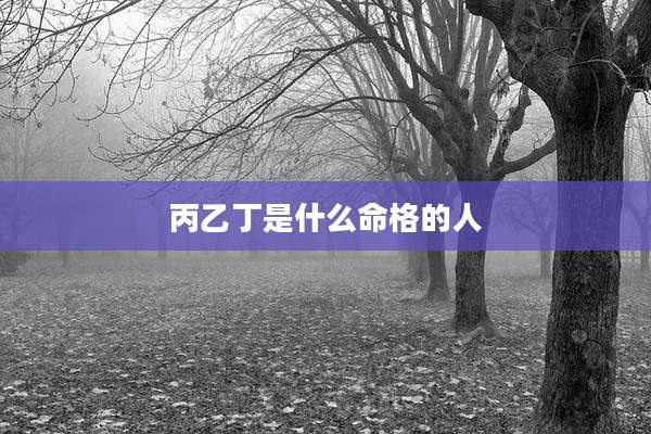 丙乙丁是什么命格的人