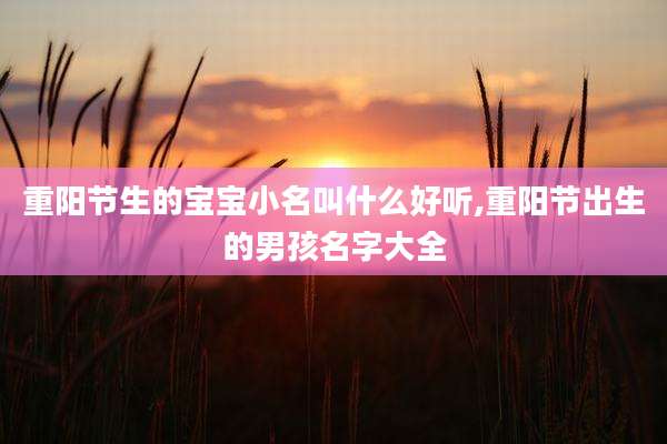 重阳节生的宝宝小名叫什么好听,重阳节出生的男孩名字大全