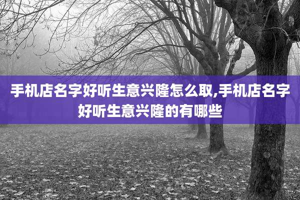 手机店名字好听生意兴隆怎么取,手机店名字好听生意兴隆的有哪些