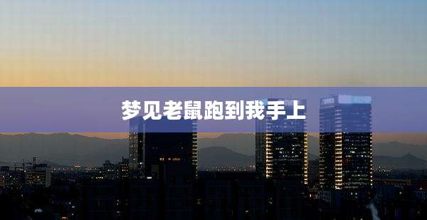 梦见老鼠跑到我手上