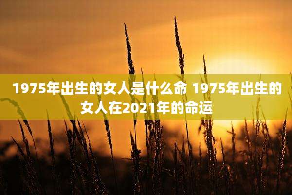 1975年出生的女人是什么命 1975年出生的女人在2021年的命运