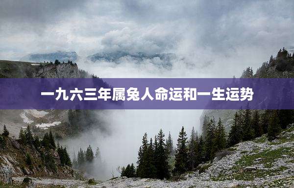 一九六三年属兔人命运和一生运势