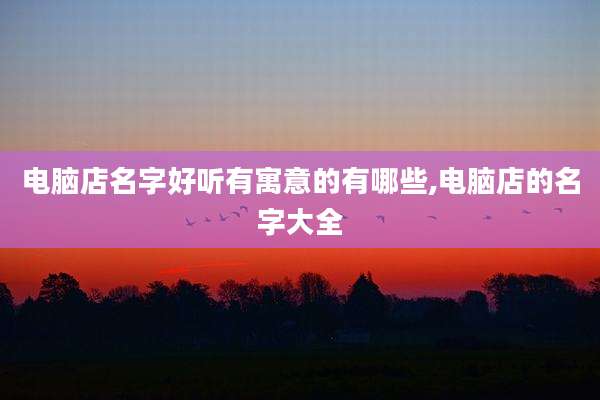 电脑店名字好听有寓意的有哪些,电脑店的名字大全