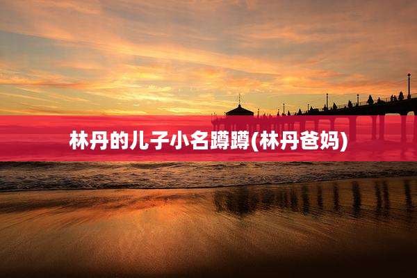 林丹的儿子小名蹲蹲(林丹爸妈)