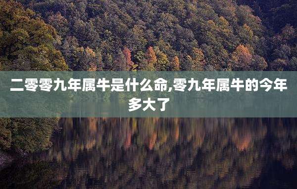 二零零九年属牛是什么命,零九年属牛的今年多大了