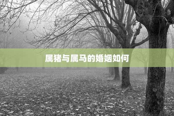 属猪与属马的婚姻如何