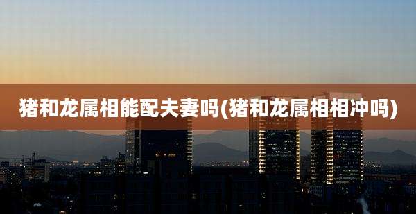 猪和龙属相能配夫妻吗(猪和龙属相相冲吗)