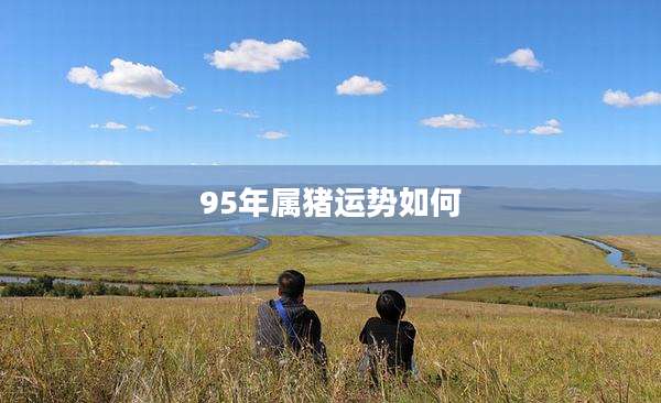 95年属猪运势如何