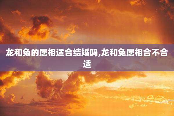 龙和兔的属相适合结婚吗,龙和兔属相合不合适