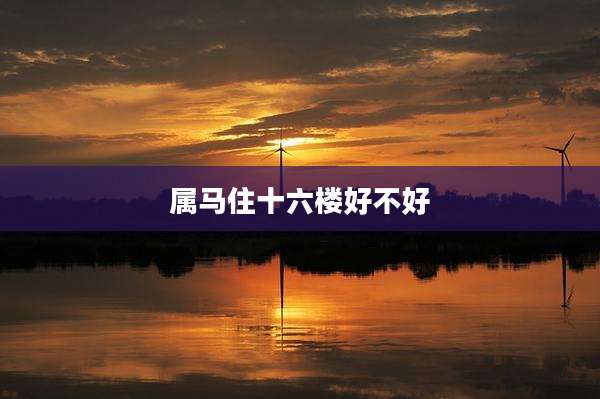 属马住十六楼好不好