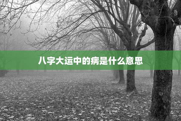 八字大运中的病是什么意思