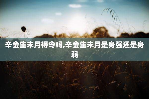 辛金生未月得令吗,辛金生未月是身强还是身弱