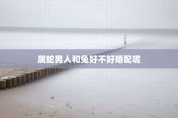 属蛇男人和兔好不好婚配呢