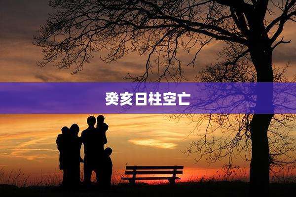 癸亥日柱空亡