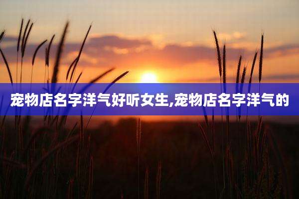 宠物店名字洋气好听女生,宠物店名字洋气的