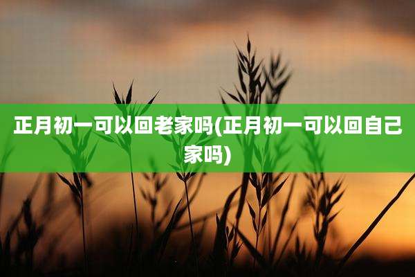 正月初一可以回老家吗(正月初一可以回自己家吗)