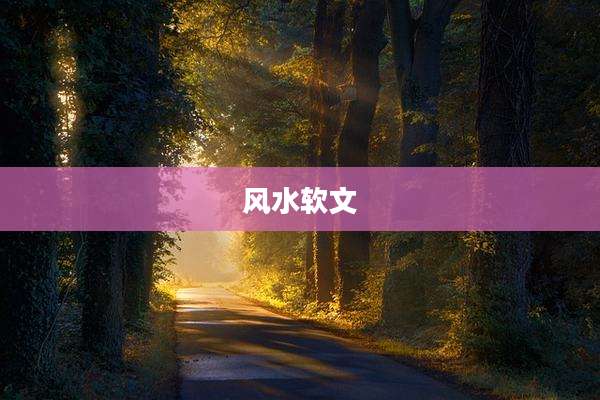 风水软文