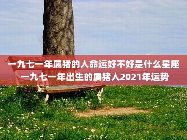 一九七一年属猪的人命运好不好是什么星座 一九七一年出生的属猪人2021年运势