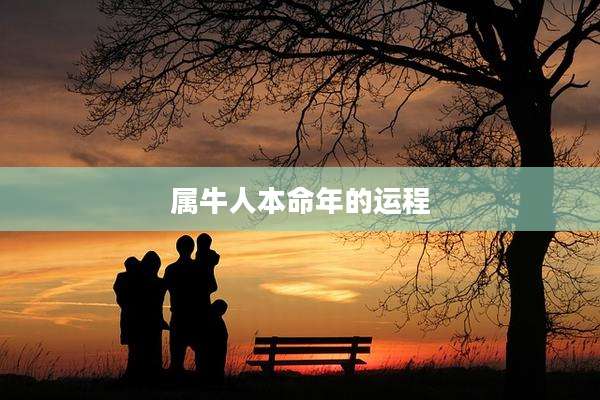 属牛人本命年的运程
