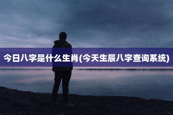 今日八字是什么生肖(今天生辰八字查询系统)