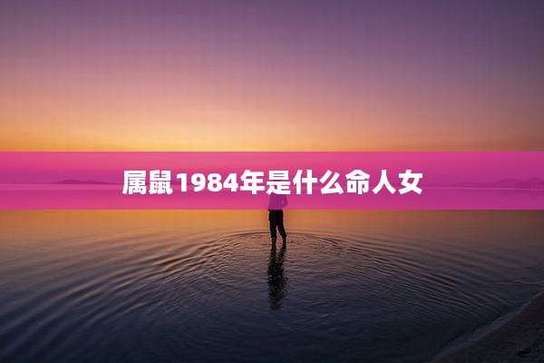 属鼠1984年是什么命人女