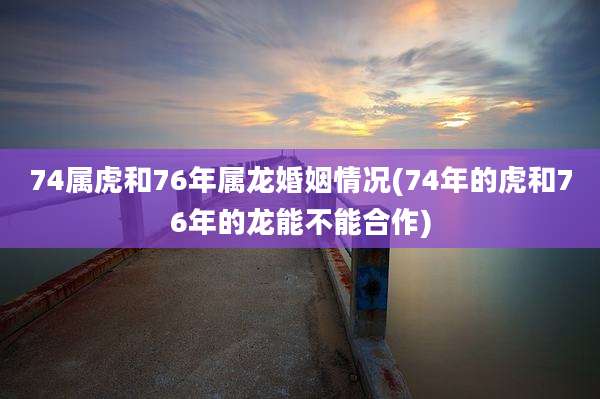 74属虎和76年属龙婚姻情况(74年的虎和76年的龙能不能合作)