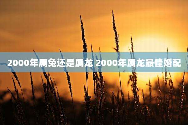 2000年属兔还是属龙 2000年属龙最佳婚配