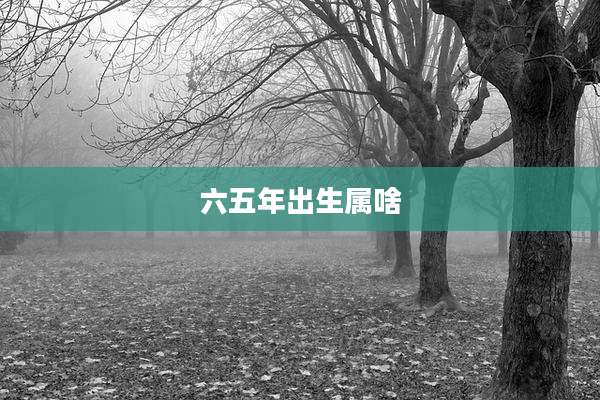 六五年出生属啥