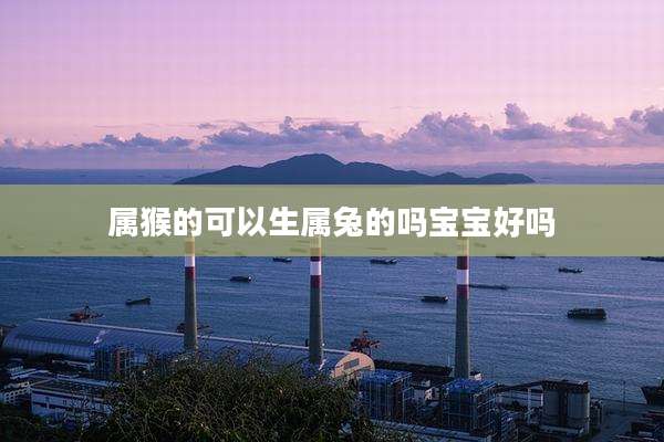 属猴的可以生属兔的吗宝宝好吗