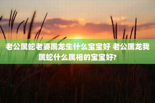 老公属蛇老婆属龙生什么宝宝好 老公属龙我属蛇什么属相的宝宝好?