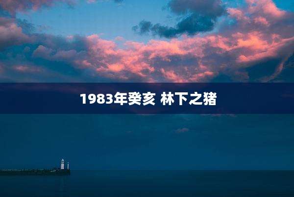 1983年癸亥 林下之猪