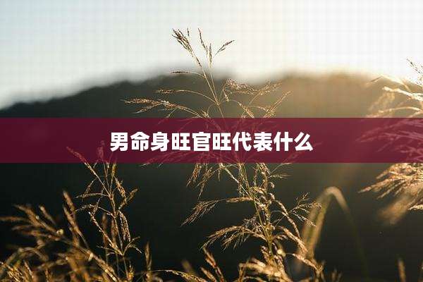 男命身旺官旺代表什么