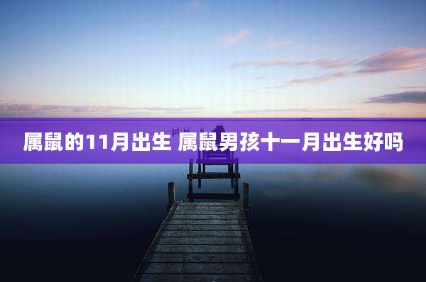 属鼠的11月出生 属鼠男孩十一月出生好吗