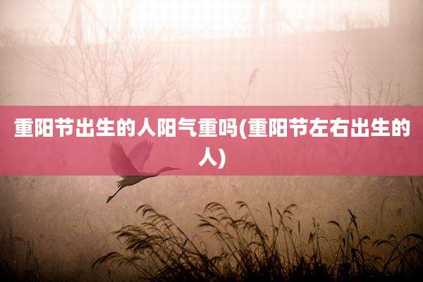 重阳节出生的人阳气重吗(重阳节左右出生的人)