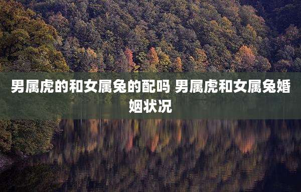 男属虎的和女属兔的配吗 男属虎和女属兔婚姻状况