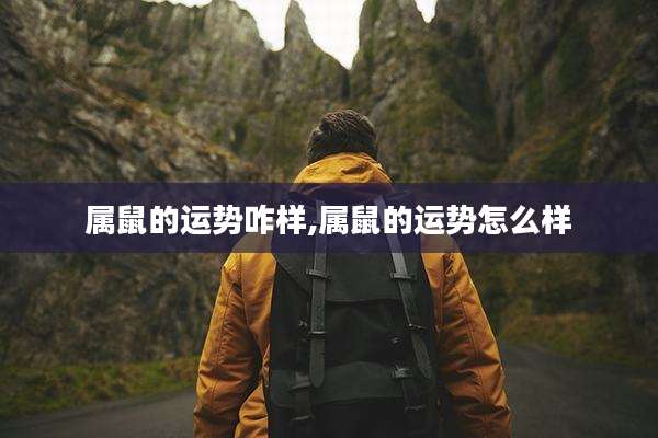 属鼠的运势咋样,属鼠的运势怎么样