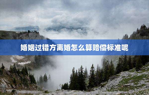 婚姻过错方离婚怎么算赔偿标准呢