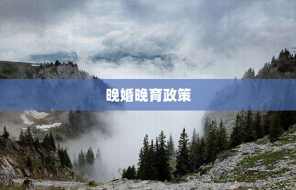 晚婚晚育政策