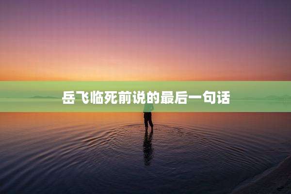 岳飞临死前说的最后一句话
