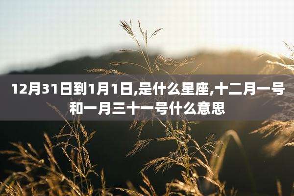 12月31日到1月1日,是什么星座,十二月一号和一月三十一号什么意思
