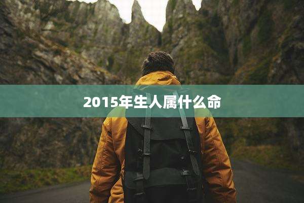 2015年生人属什么命