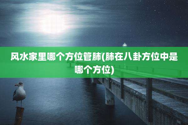 风水家里哪个方位管肺(肺在八卦方位中是哪个方位)