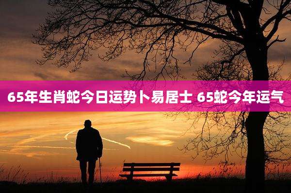 65年生肖蛇今日运势卜易居士 65蛇今年运气