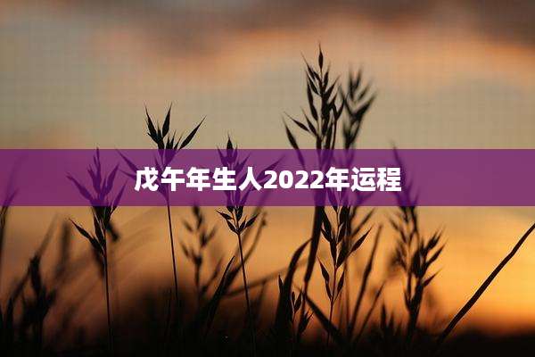 戊午年生人2022年运程
