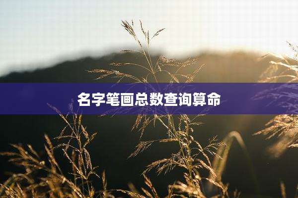 名字笔画总数查询算命