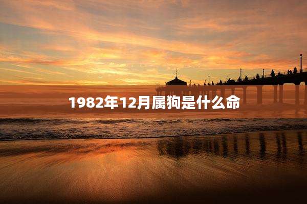 1982年12月属狗是什么命